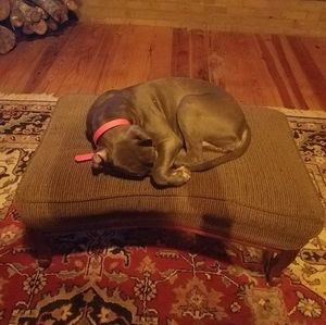 Meet your Posher, Cynthia